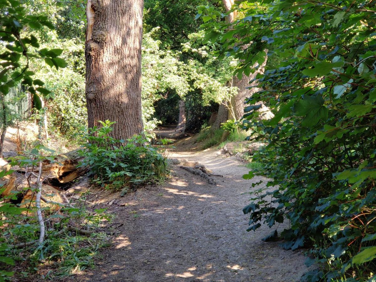Luxury Self Catering With Cosy Cabin & Sauna In Colchester Exteriör bild
